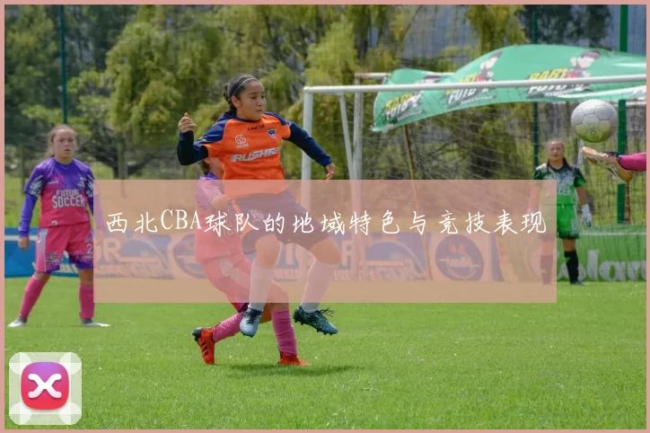 西北CBA球队的地域特色与竞技表现