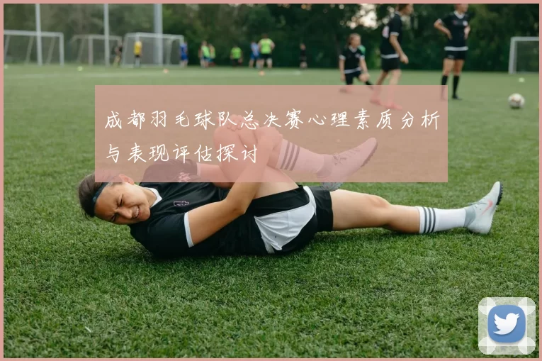 成都羽毛球队总决赛心理素质分析与表现评估探讨