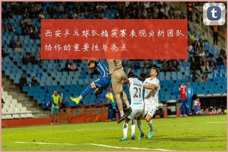 西安乒乓球队精英赛表现分析团队协作的重要性与亮点
