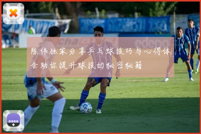 陈伟独家分享乒乓球技巧与心得体会助你提升球技的秘密秘籍