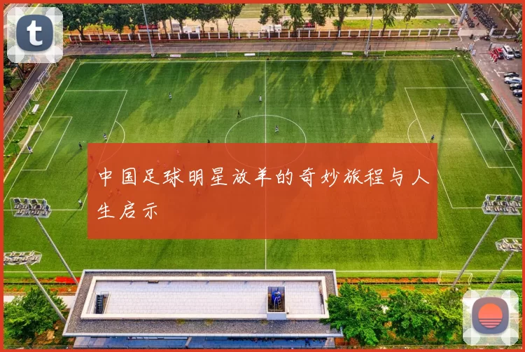中国足球明星放羊的奇妙旅程与人生启示