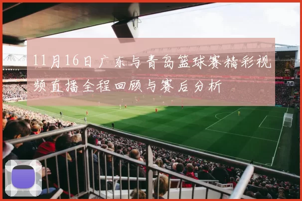 11月16日广东与青岛篮球赛精彩视频直播全程回顾与赛后分析