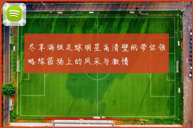 尽享满级足球明星高清壁纸带你领略绿茵场上的风采与激情