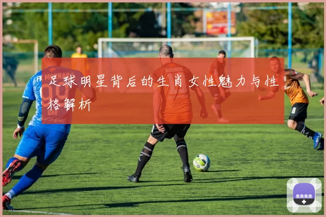 足球明星背后的生肖女性魅力与性格解析