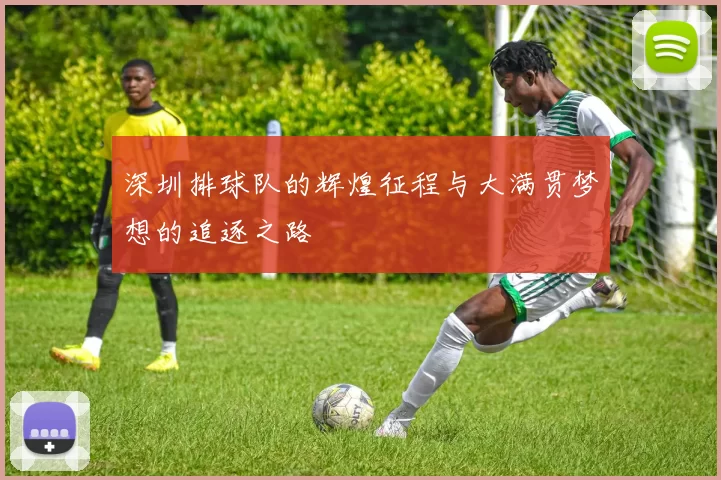 深圳排球队的辉煌征程与大满贯梦想的追逐之路