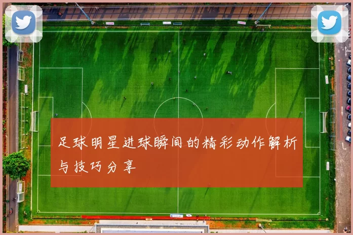 足球明星进球瞬间的精彩动作解析与技巧分享