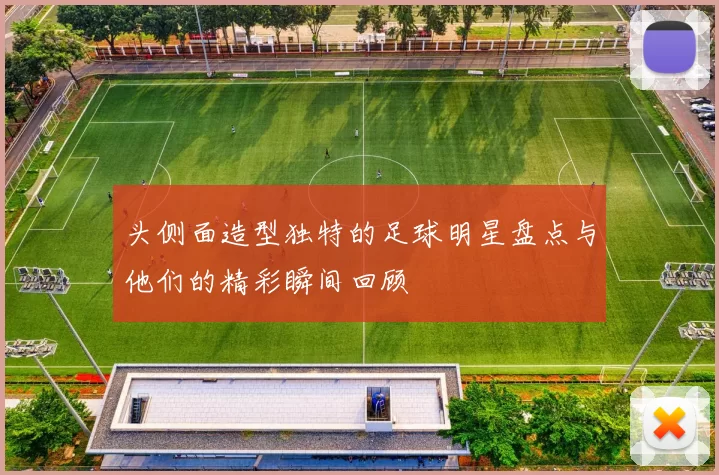 头侧面造型独特的足球明星盘点与他们的精彩瞬间回顾