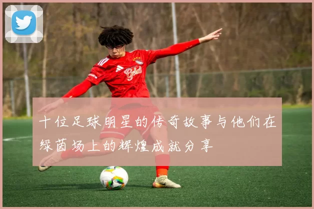 十位足球明星的传奇故事与他们在绿茵场上的辉煌成就分享