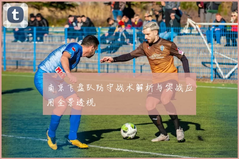 南京飞盘队防守战术解析与实战应用全景透视