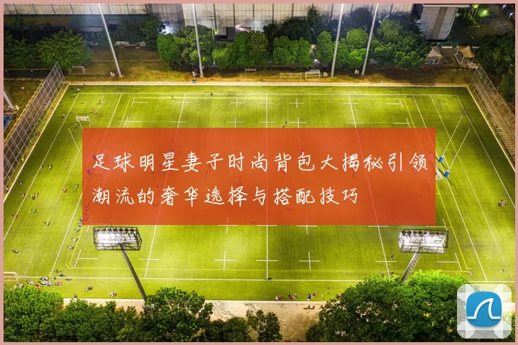 足球明星妻子时尚背包大揭秘引领潮流的奢华选择与搭配技巧