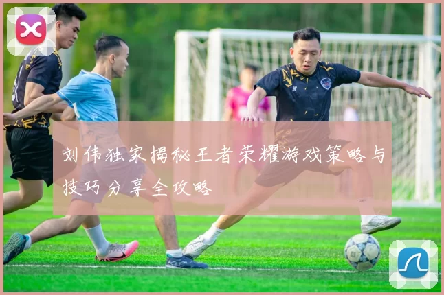 刘伟独家揭秘王者荣耀游戏策略与技巧分享全攻略