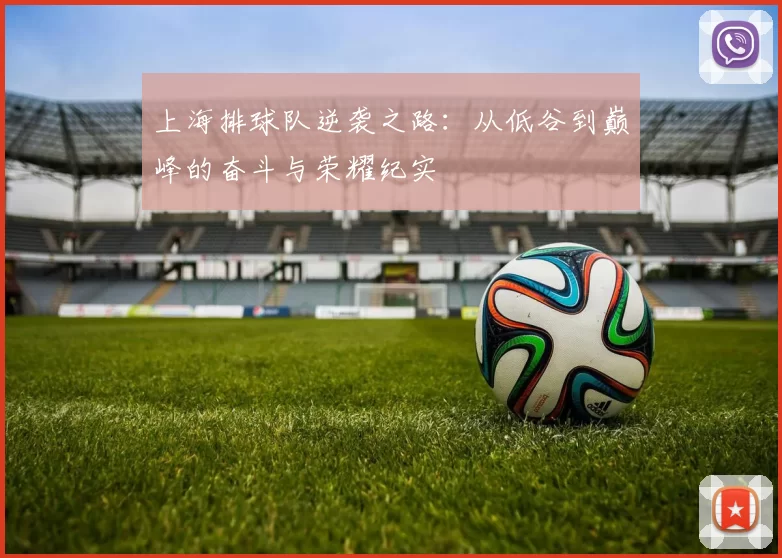 上海排球队逆袭之路：从低谷到巅峰的奋斗与荣耀纪实